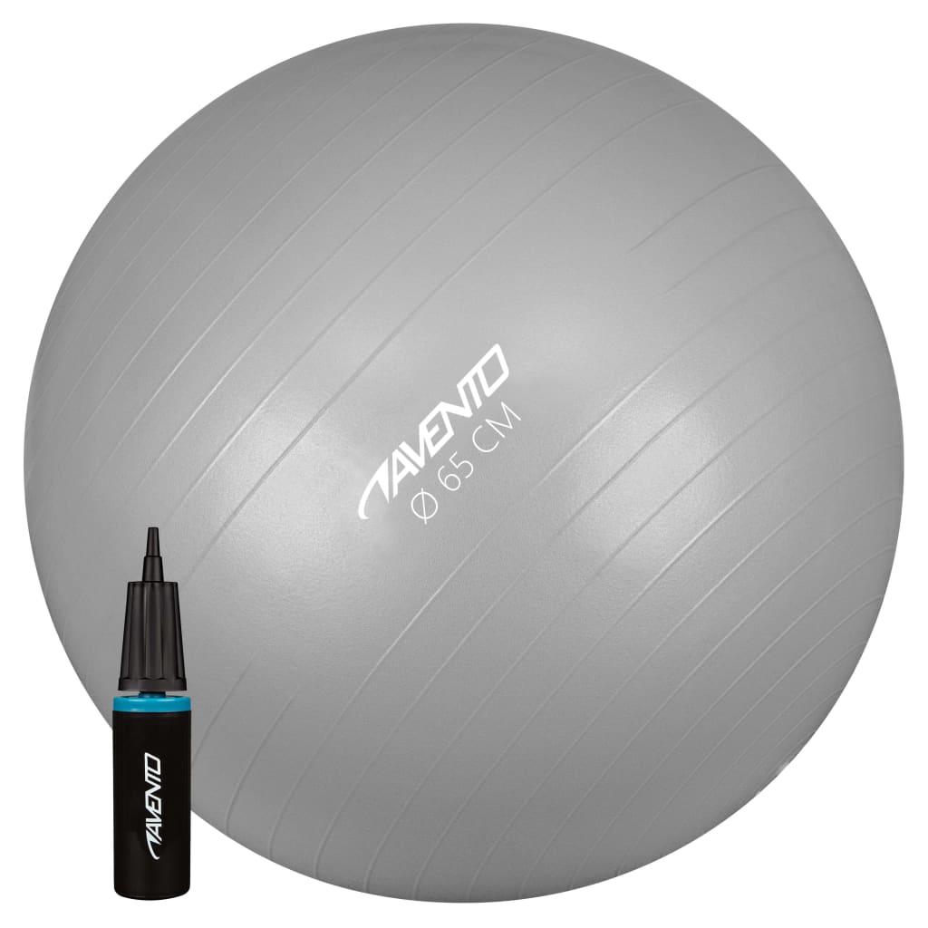 Avento Fitness/Gym Ball + Pump Dia. 65 cm Silver