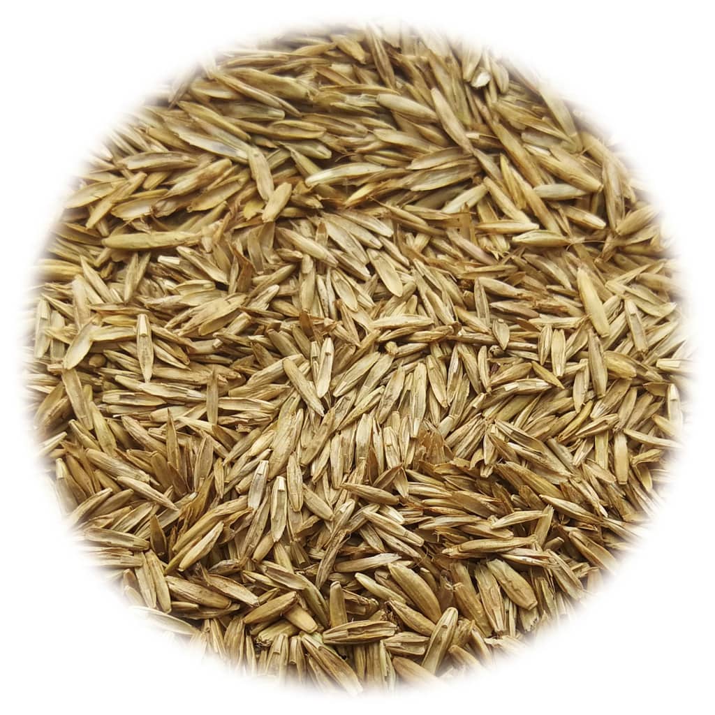 Grass Seed for Field and Pasture 10 kg