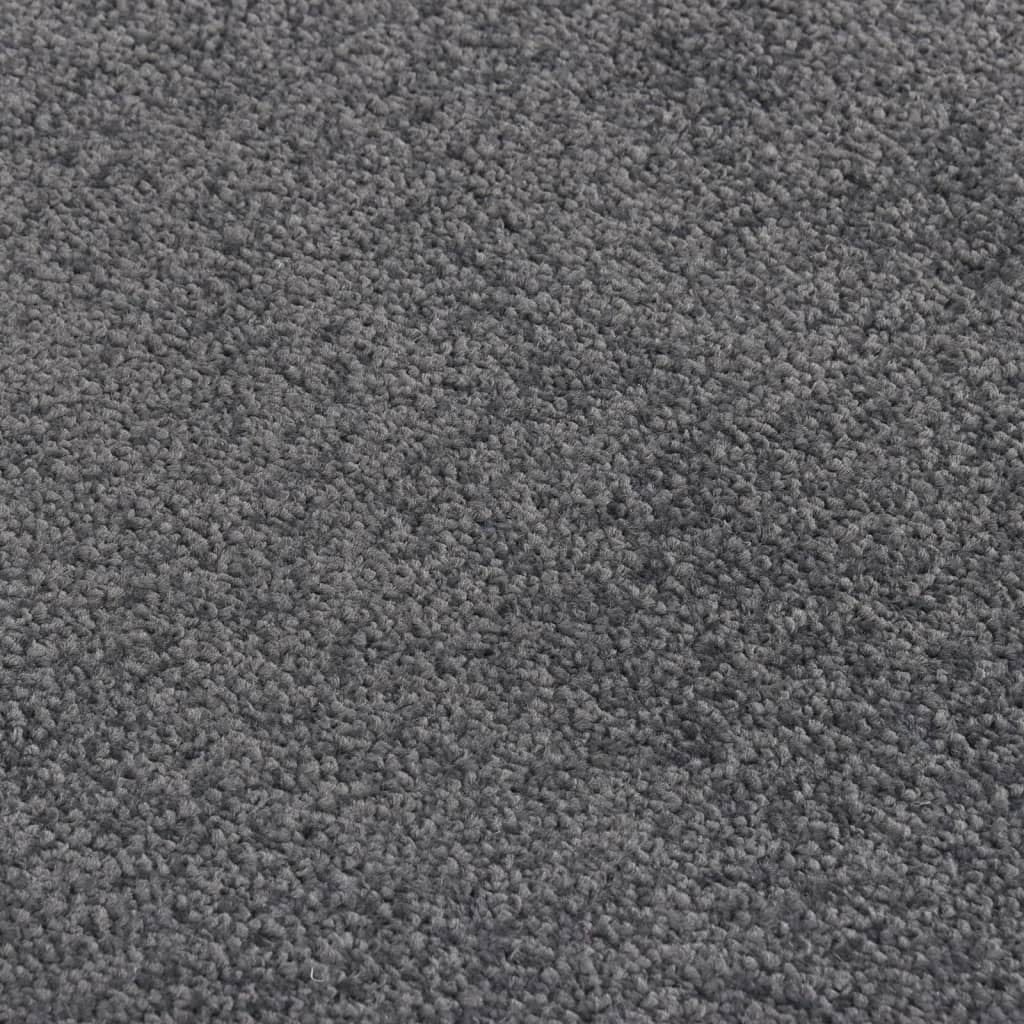 Doormat Anthracite 80x120 cm