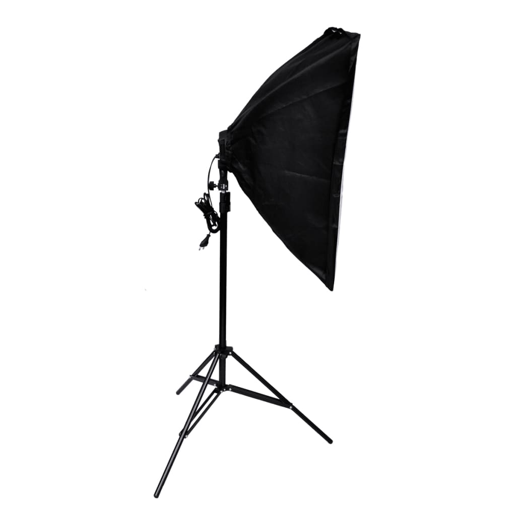 2  Light Stands with Soft Box
