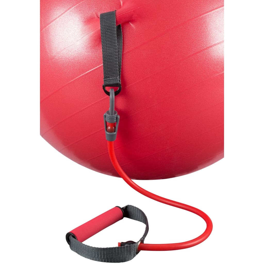 Avento Fitness Ball with Resistance Tubes 65 cm Red 41TO-ROG-65