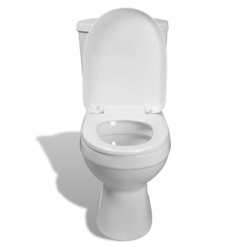 Toilet With Cistern White