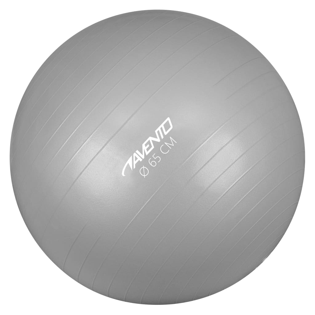 Avento Fitness/Gym Ball Dia. 65 cm Silver