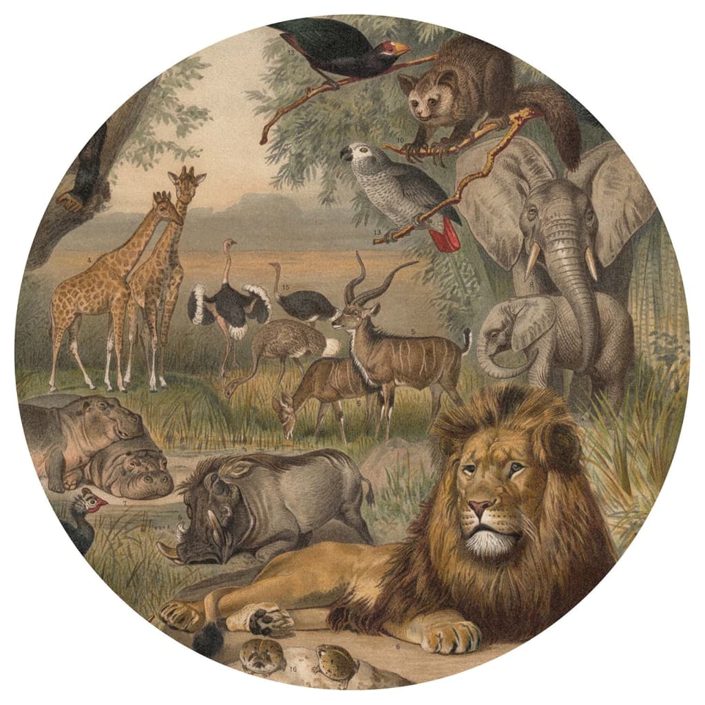 WallArt Wallpaper Circle Animals of Africa 190 cm