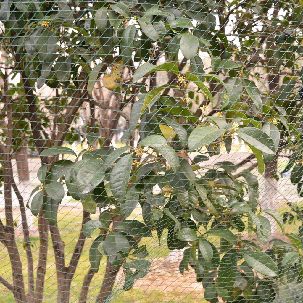 Anti-bird Nets 2 pcs 8x14 m PE