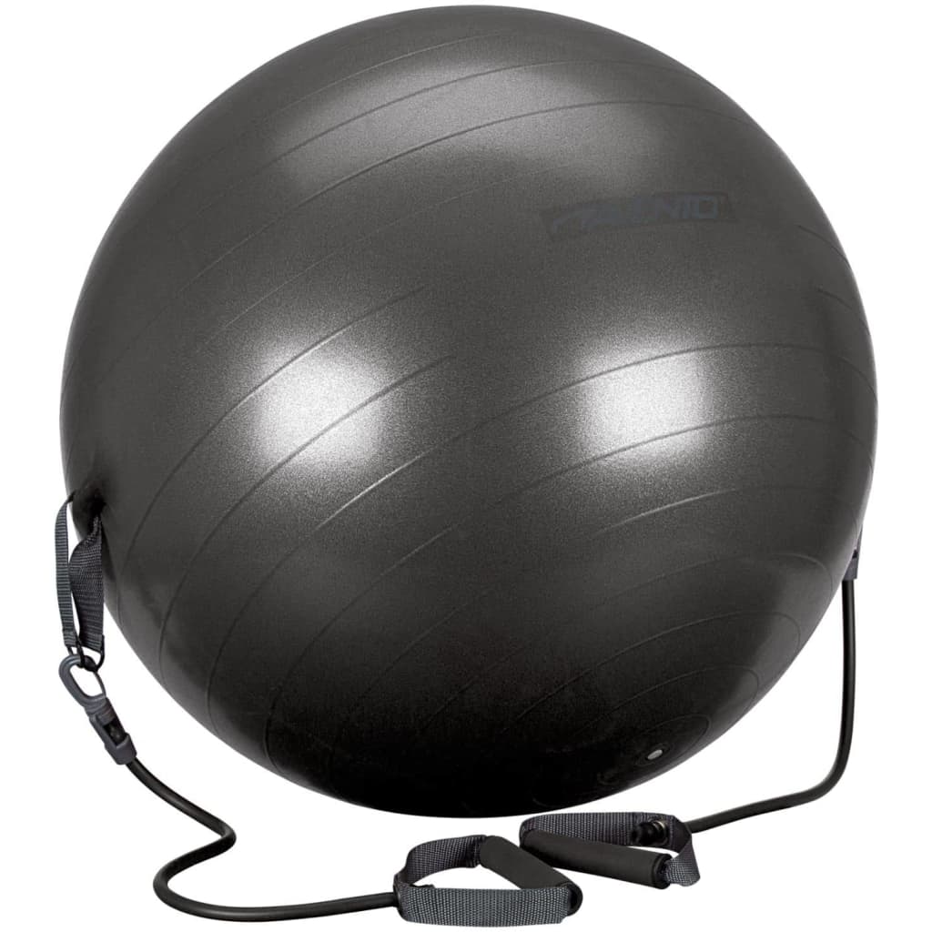 Avento Fitness Ball with Resistance Tubes 65 cm Black 41TO-ZWG-65