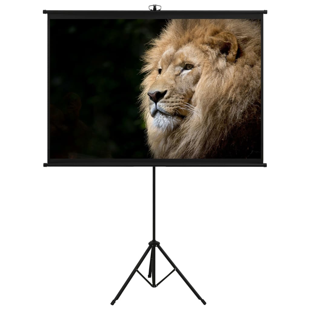 Projection Screen with Tripod 50" 1:1