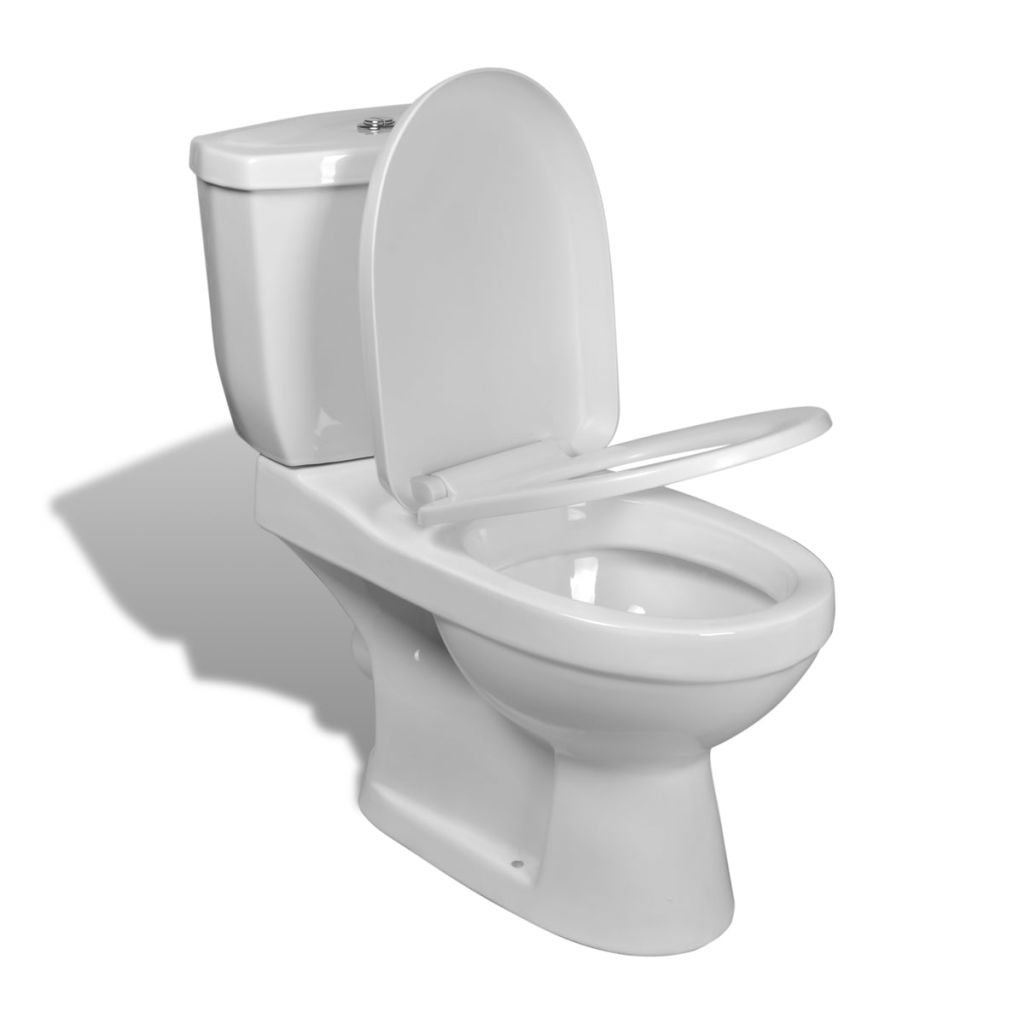 Toilet With Cistern White