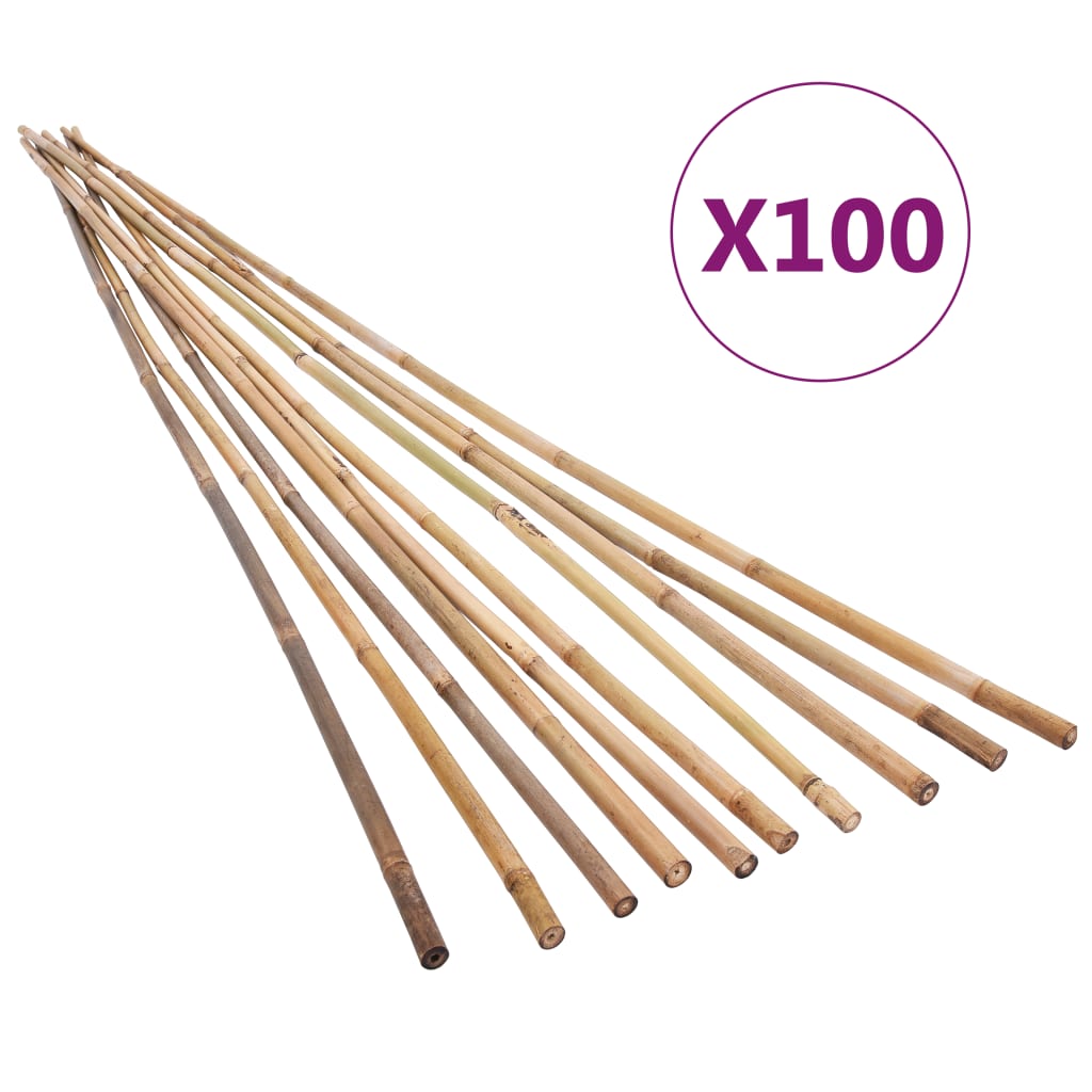 Garden Bamboo Stakes 100 pcs 120 cm
