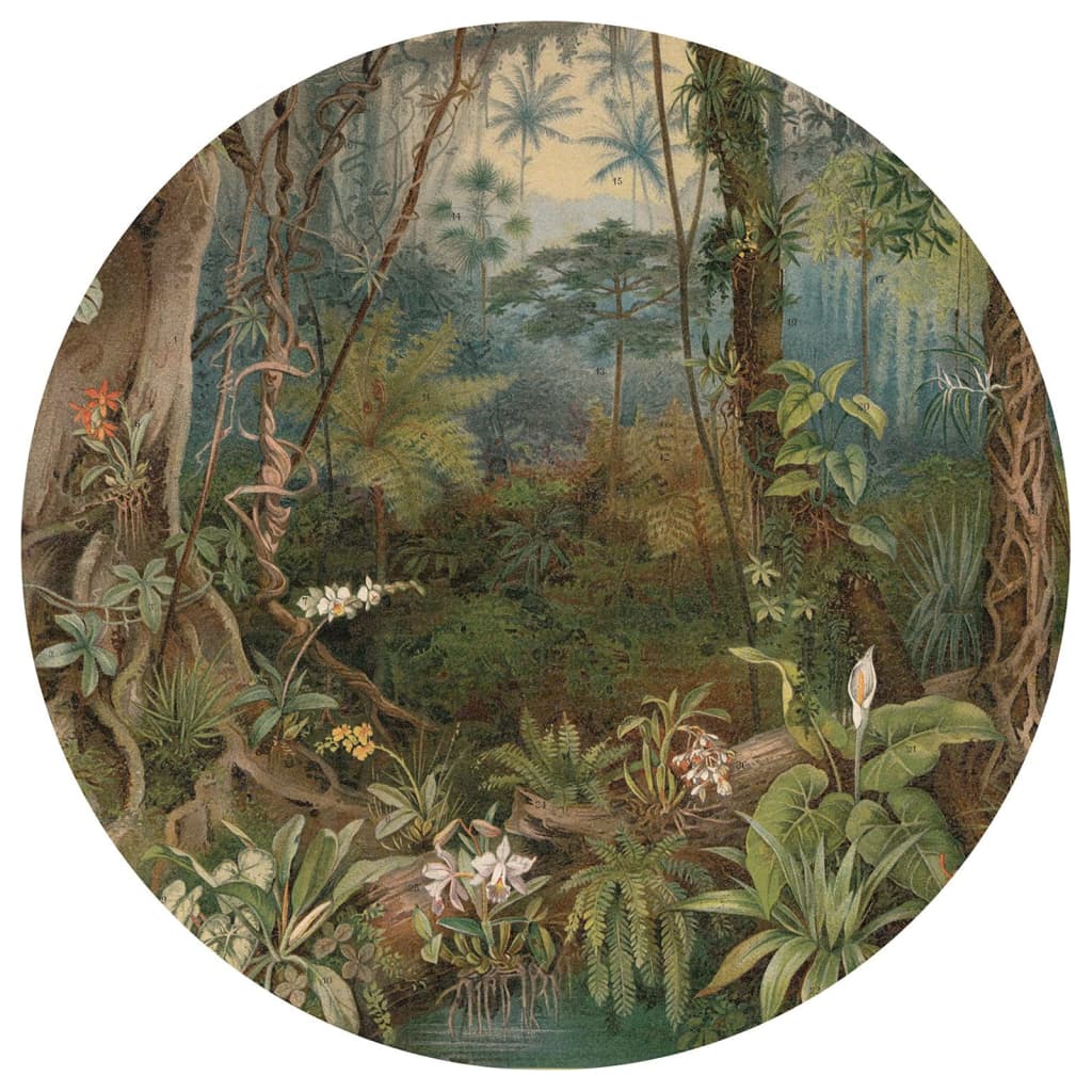 WallArt Wallpaper Circle In the Jungle 142.5 cm